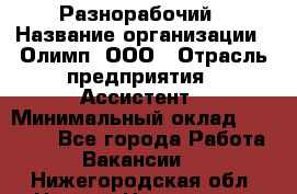 Разнорабочий › Название организации ­ Олимп, ООО › Отрасль предприятия ­ Ассистент › Минимальный оклад ­ 25 000 - Все города Работа » Вакансии   . Нижегородская обл.,Нижний Новгород г.